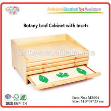 Montessori gabinete de la hoja de la botánica material con cajón